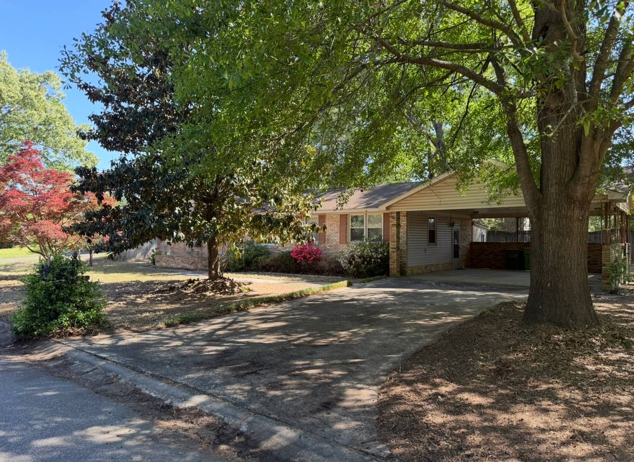 Yard cleared and cleaned up after