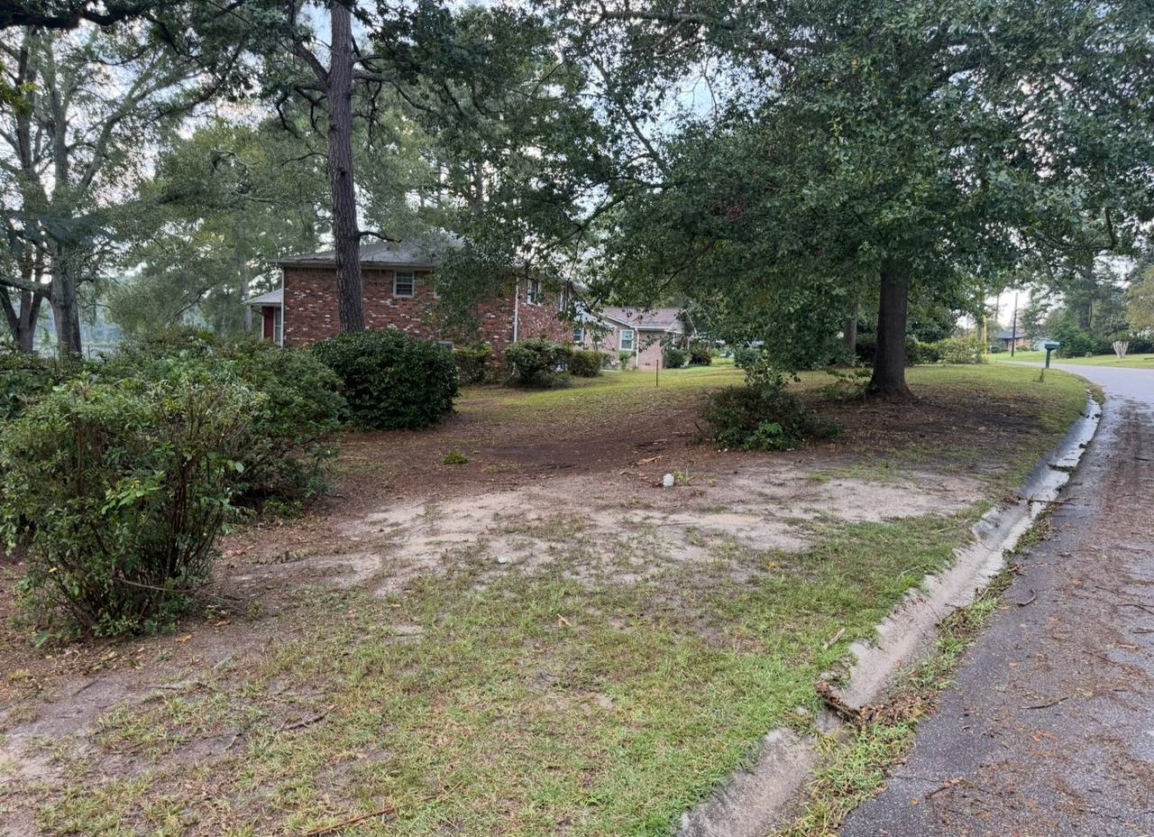 Corner lot cleared and cleaned up after