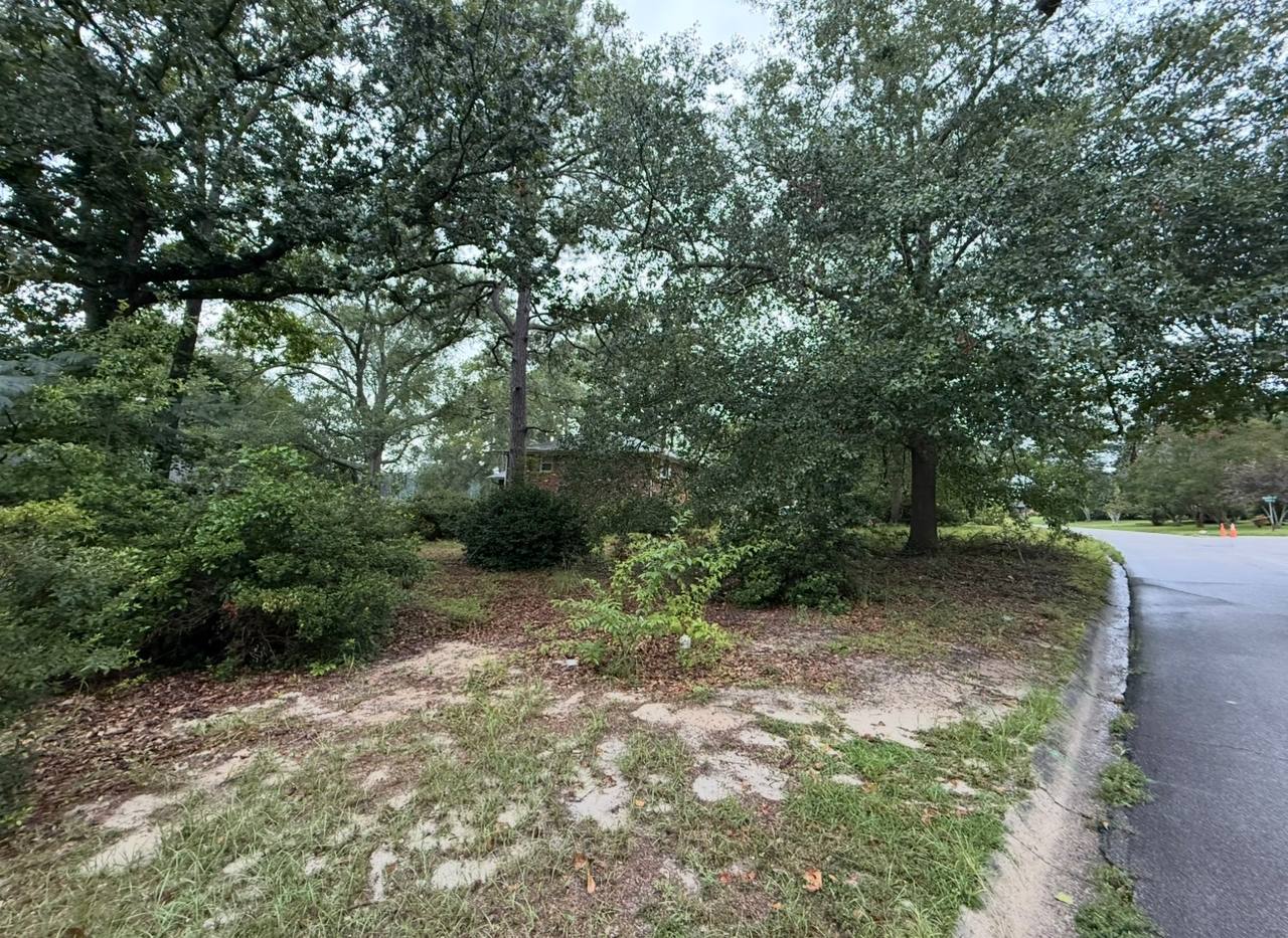 Overgrown corner lot before clearing