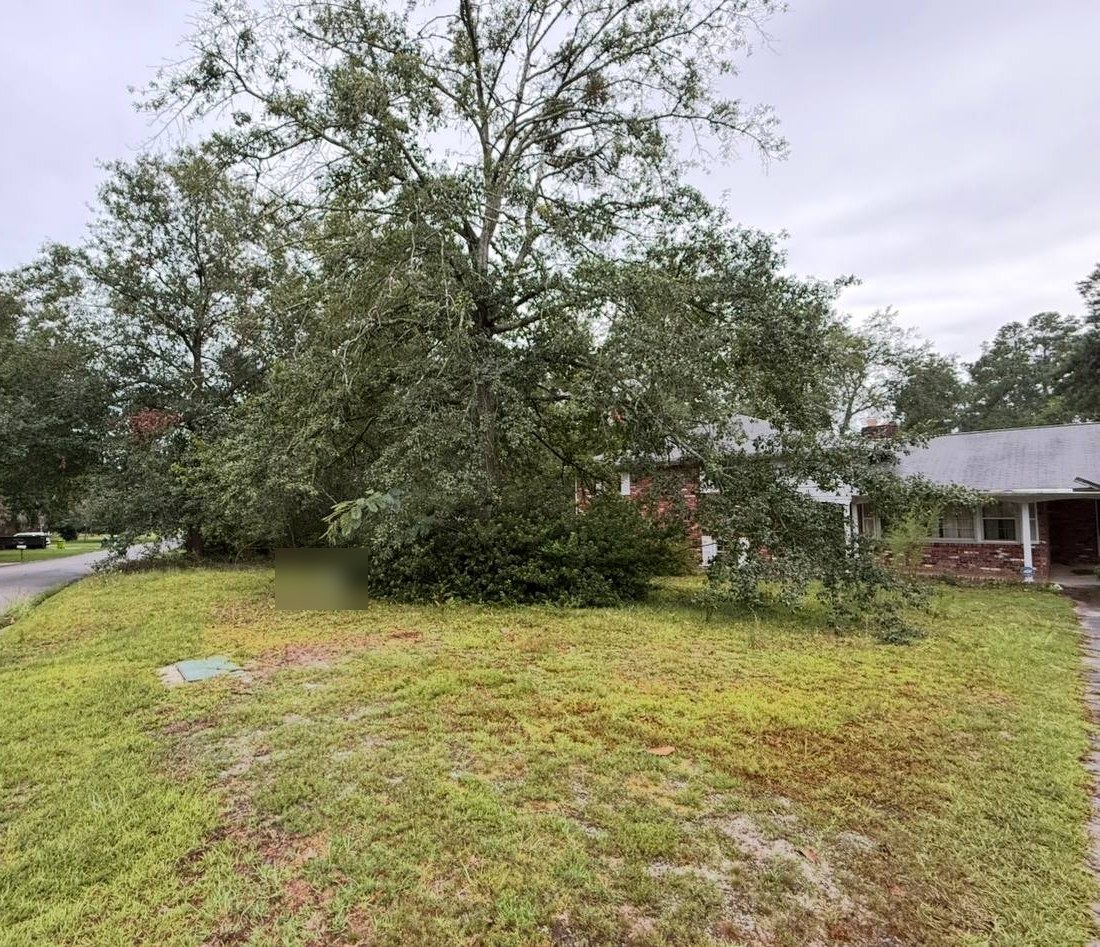 Overgrown property before cleanup